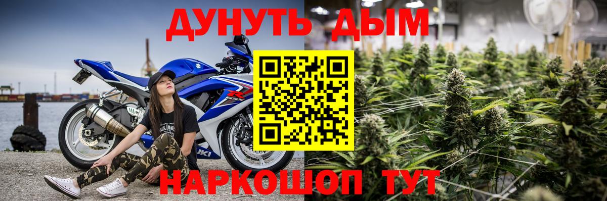 Канабис план Прохладный