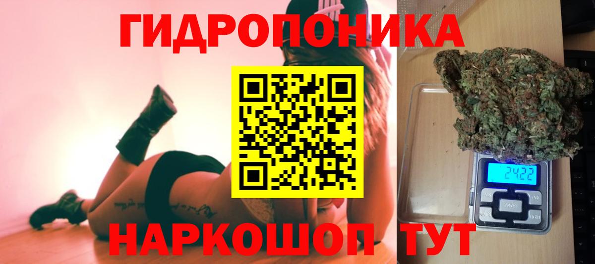 Конопля AK-47  Марихуана план  Марихуана Amnesia  Вход с VPN  Прохладный 